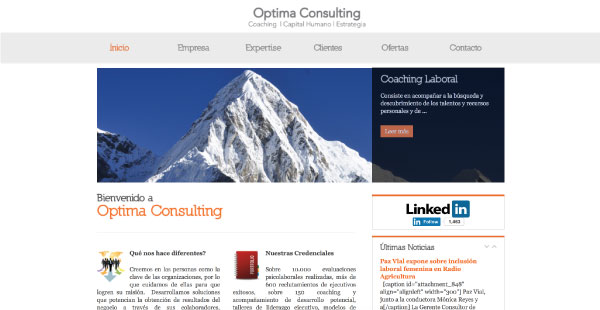 optimaconsulting